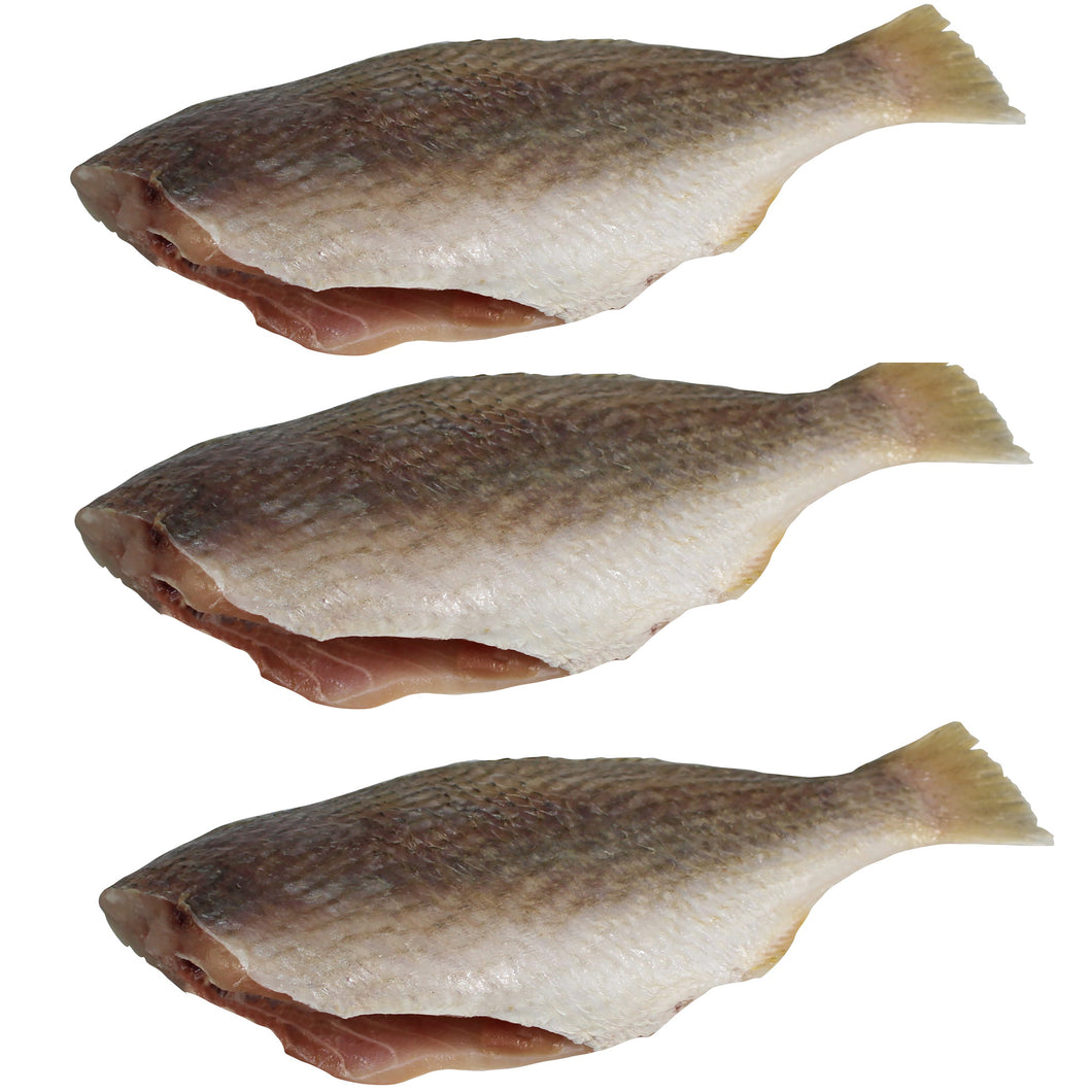 Pan Ready Croaker Fish (with no head), Pack of 3