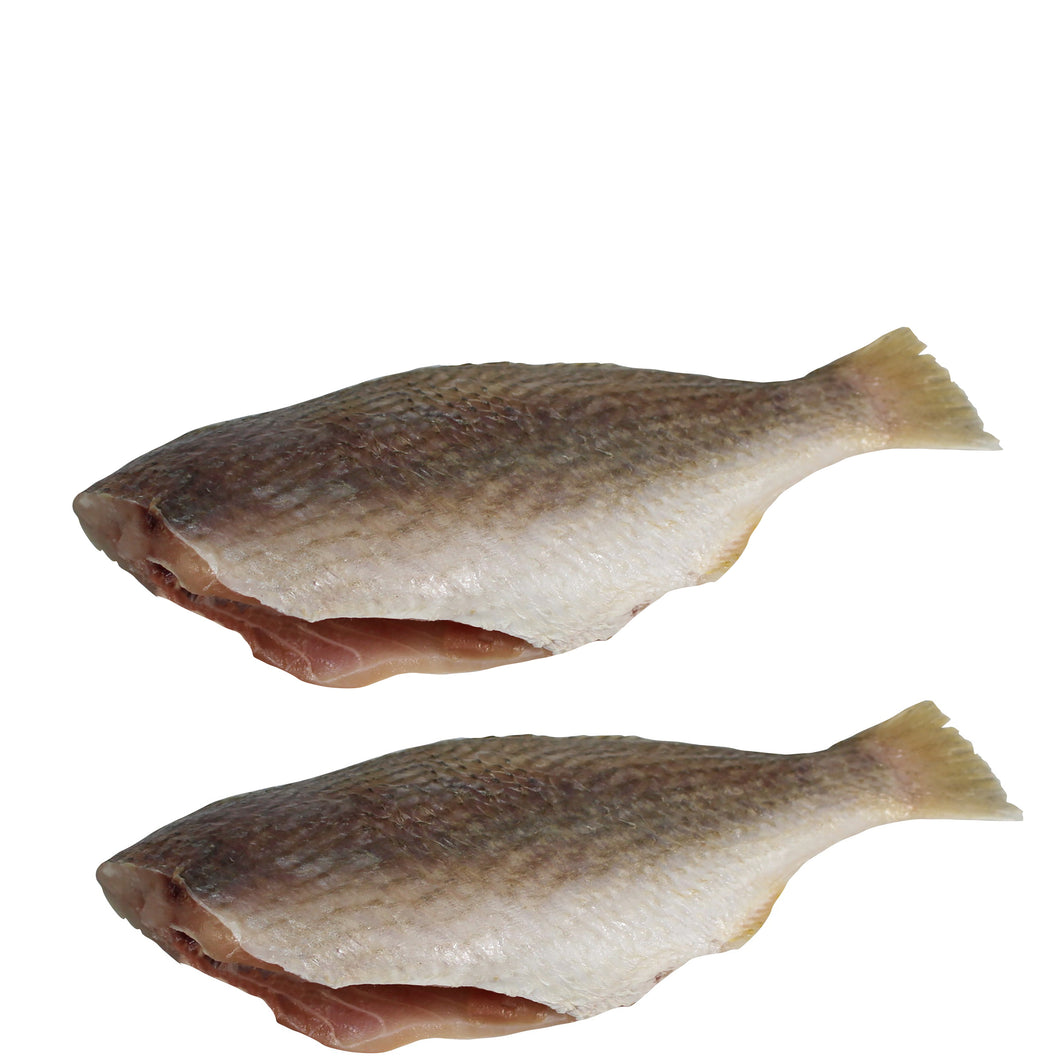 Pan Ready Croaker Fish (with no head), Pack of 2