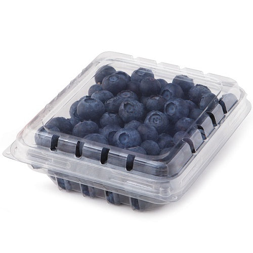 Fresh Blueberry 6oz