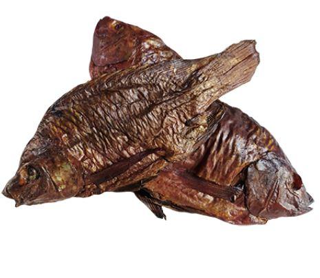 JKUB Bounga Fish 4oz