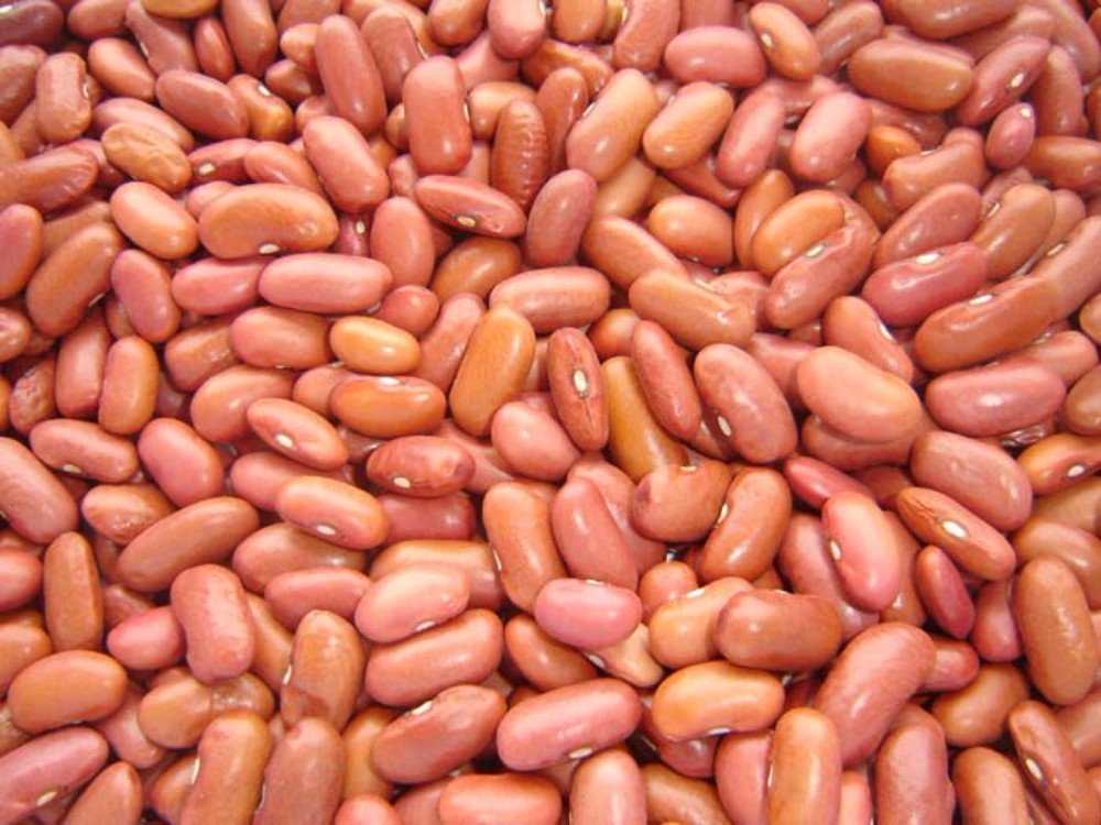 Light Red Kidney Beans 2LB