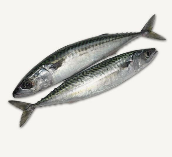 Whole Mackerel Fish (Pack of 2)