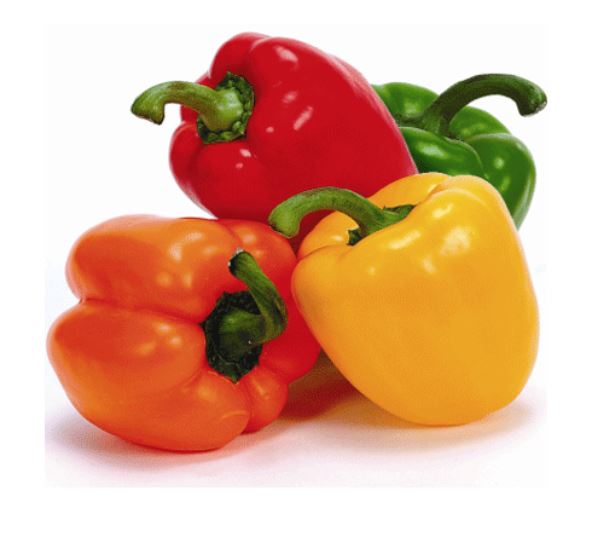 Mixed Bell Pepper (Pack of 4)