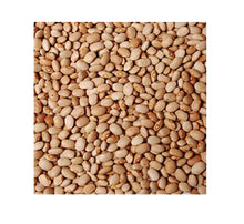 Load image into Gallery viewer, African Honey Beans 10LB (Oloyin Beans)
