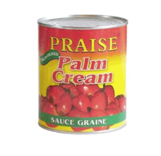 Praise Palmnut Cream (Palmnut Soup/Banga Sauce), 800G