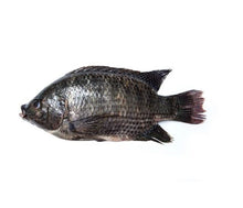 Load image into Gallery viewer, Whole Tilapia Fish (Pack of 1)
