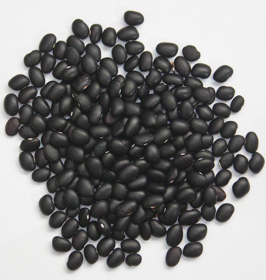 Black Beans 2LB