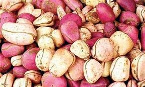 African Fresh Kola Nuts 16oz (1LB)