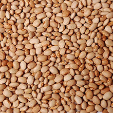 Load image into Gallery viewer, African Honey Beans 10LB (Oloyin Beans)
