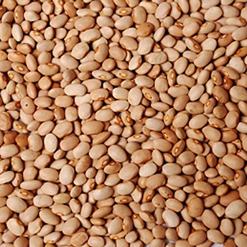 African Honey Beans 10LB (Oloyin Beans)